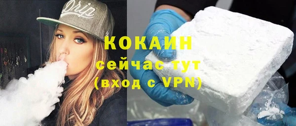 твердый Алексин
