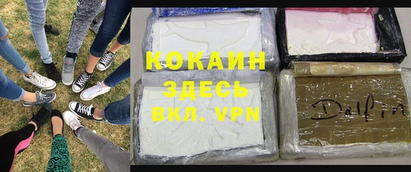 стафф Алзамай