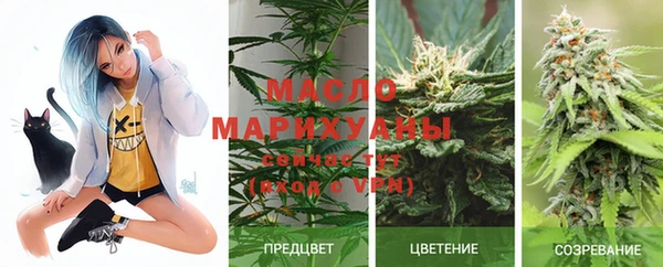 сатива Алексеевка