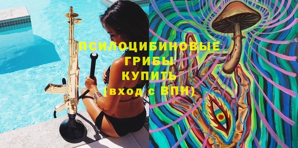 стафф Алзамай