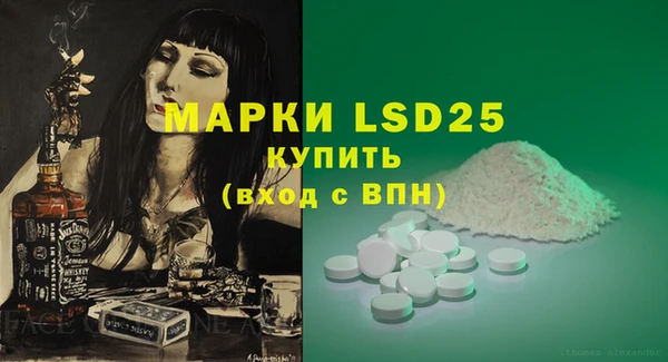 стафф Алзамай